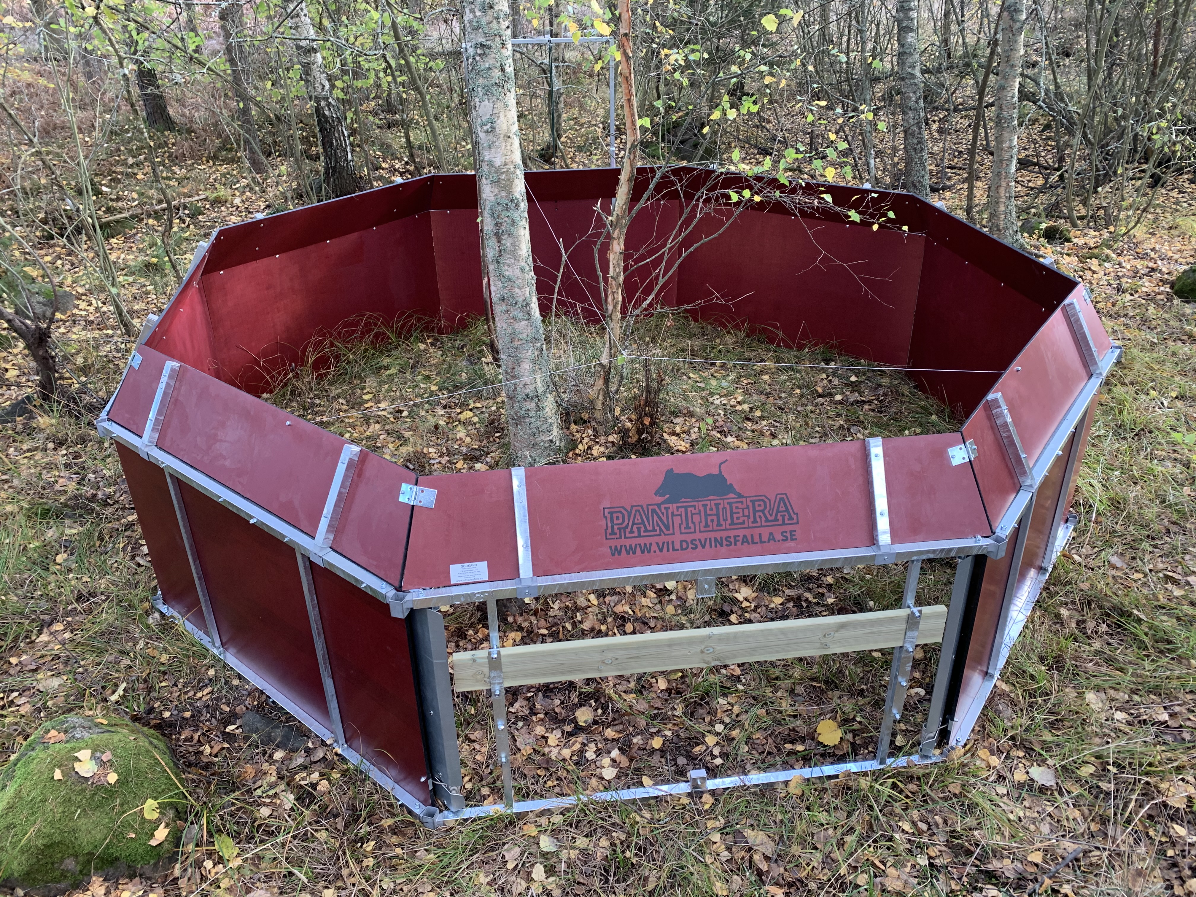 vildsvinsfalla multitrap